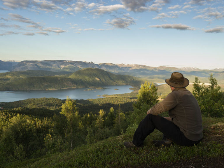 Velfjord på Helgeland